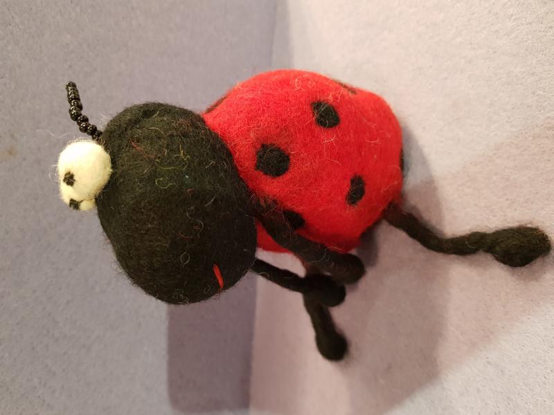 Ladybug 'Hr. Flensburg'