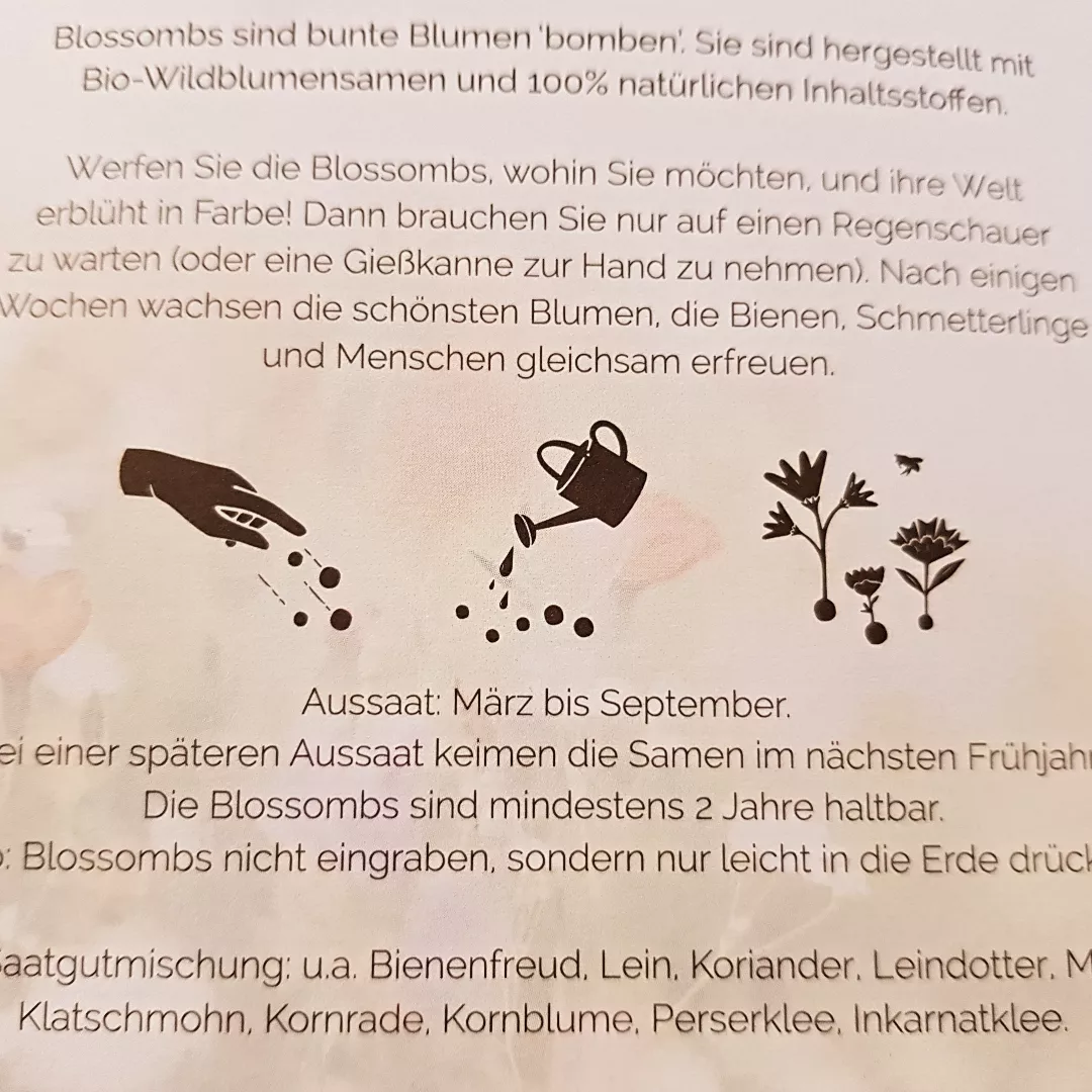 Blumenbomben 4er Box B-DAY